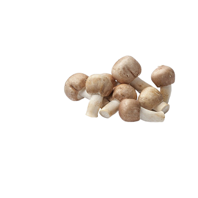 Agaricus Blazei