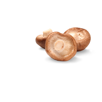 Shiitake