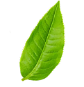 decorative leaf