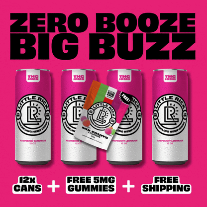 Little Ricks Lucky Dozen, free THC gummies & shipping on a bold pink background.