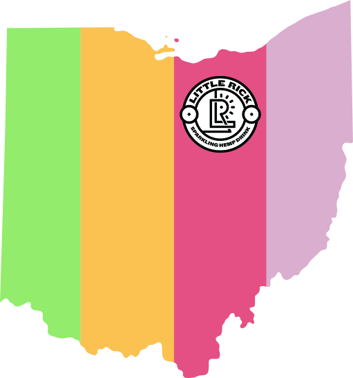 Colorful outline of Ohio with a 'Little Rick' logo in the center