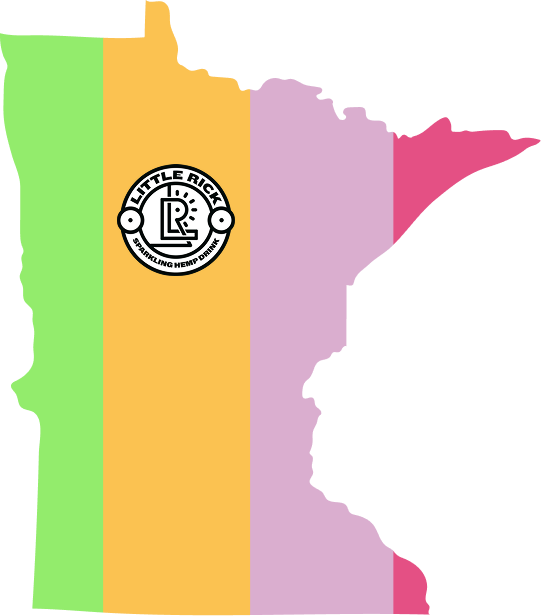Colorful outline of Minnesota with a Little Rick logo in the center